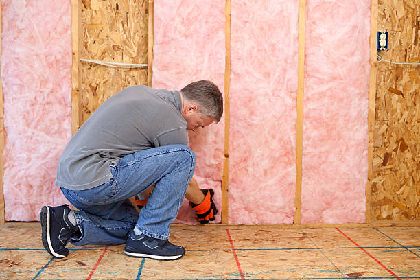 Attic Insulation Near Me in St Bonifacius, MN